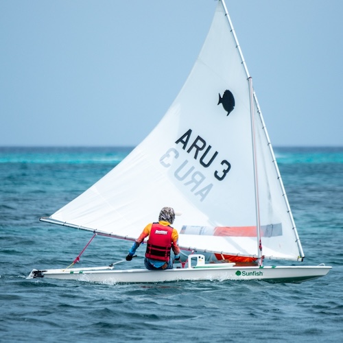 Sunfish Sailing