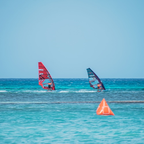 Windsurfing - Adults / Slalom